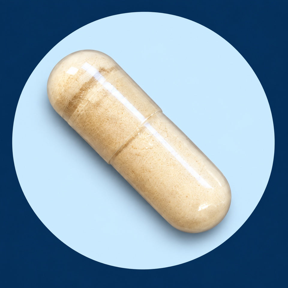 One Holy Cow capsule with a translucent shell and beige powder