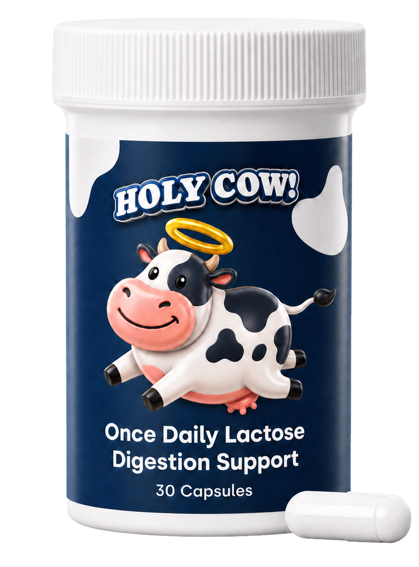 Holy Cow once-daily lactose digestion support bottle with one capsule
