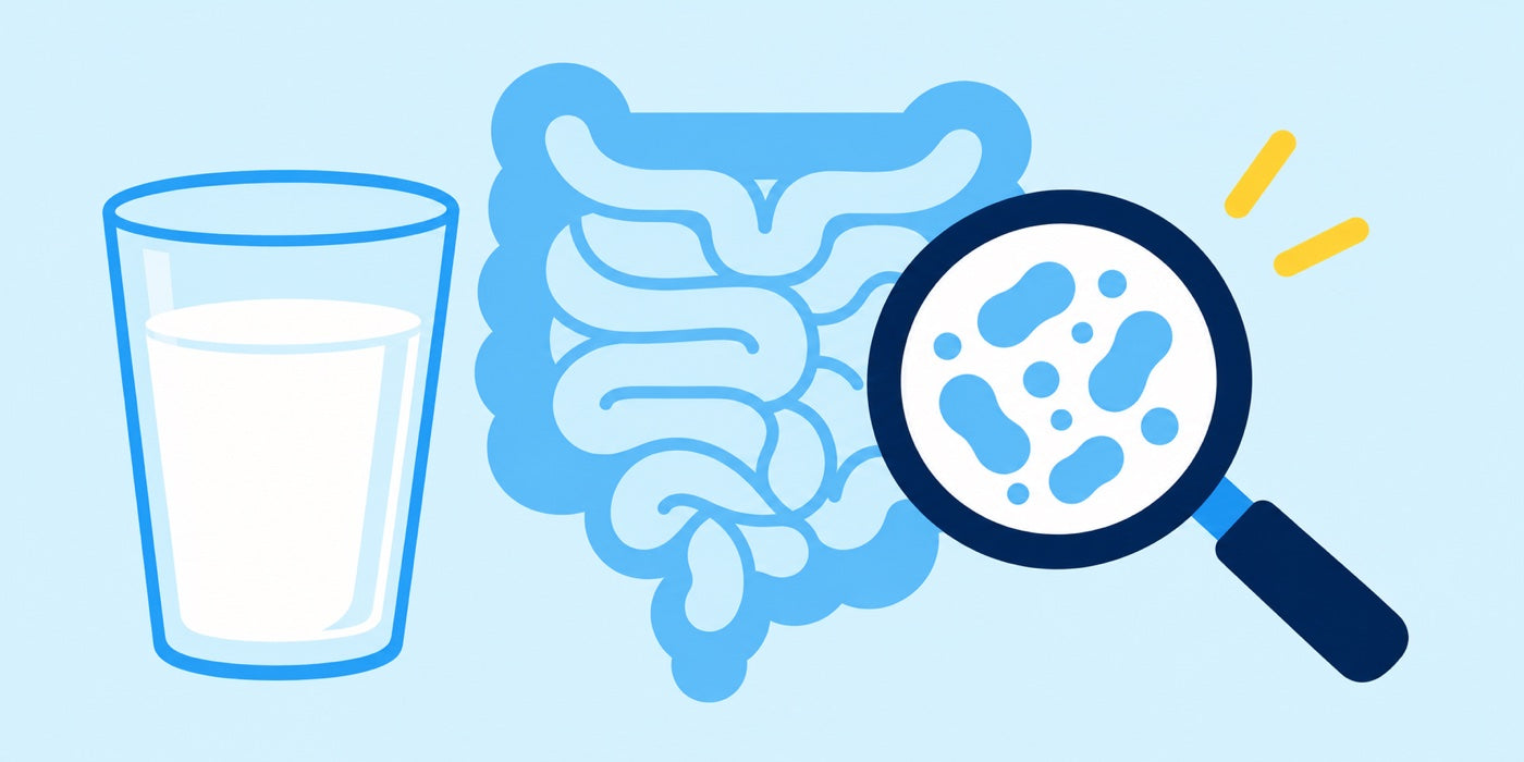 Milk and digestive science illustration