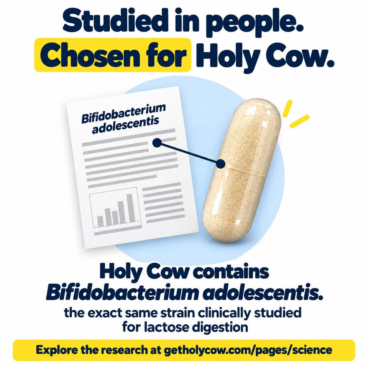Holy Cow contains Bifidobacterium adolescentis, the exact same strain clinically studied for lactose digestion.
